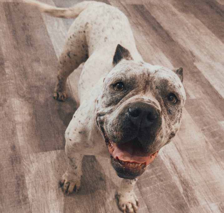 Photo of Mia 25-04-171