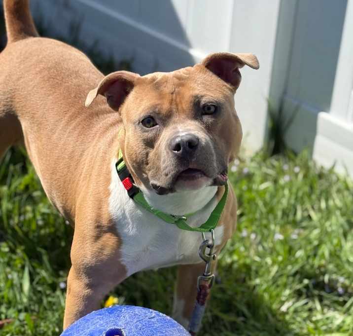 Photo of Chunk