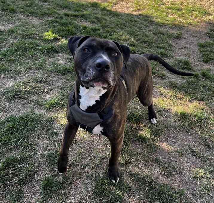 Photo of Simon