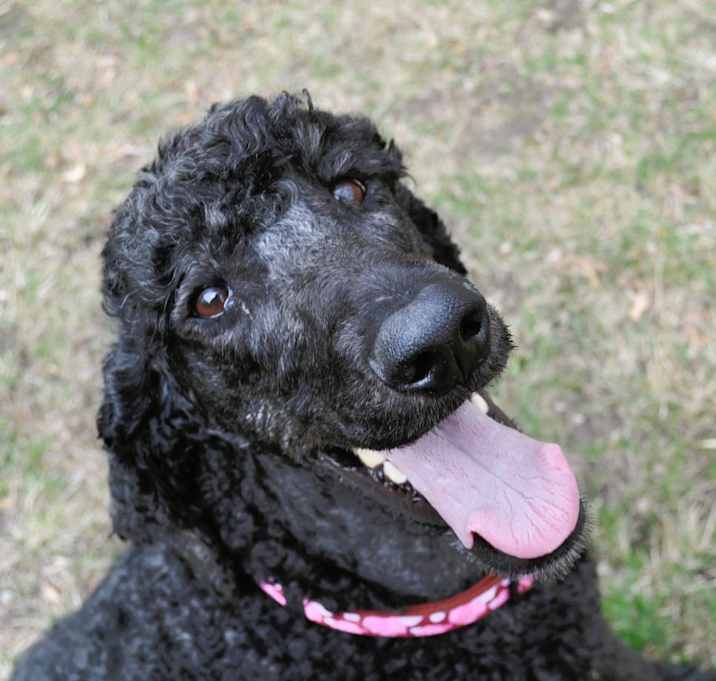 Photo of MISS HUGO