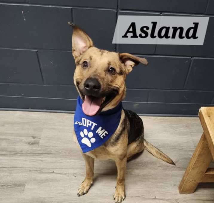 Photo of Asland
