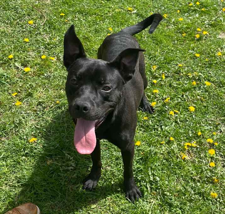 Photo of Sonar