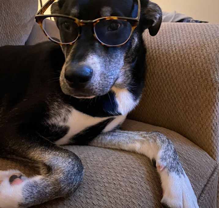 Photo of Sadie