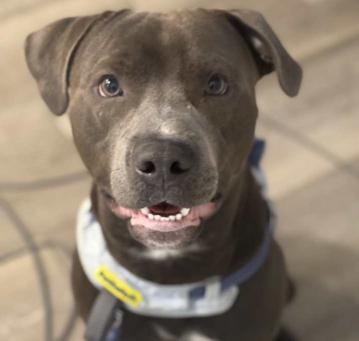 Photo of Maverick