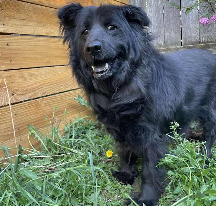 Photo of Sammy