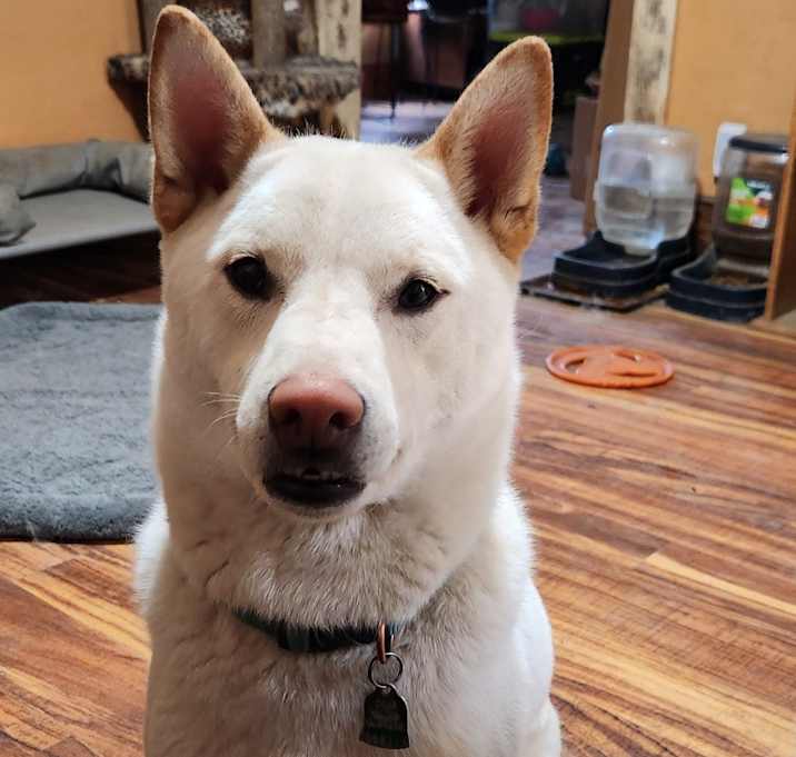 Photo of Dakota