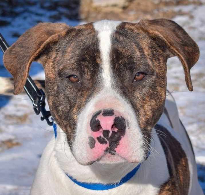 Photo of Rosco