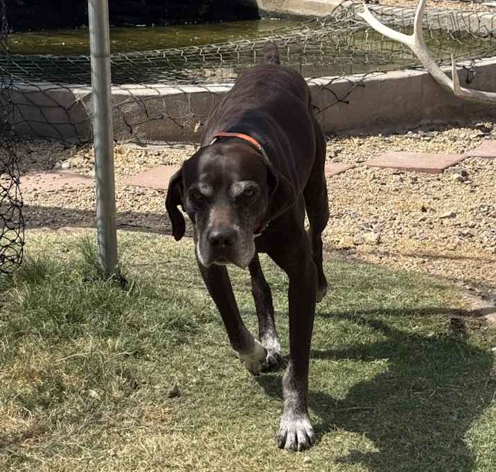 Photo of Mack