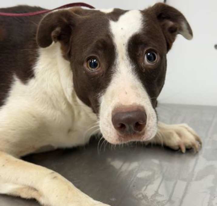 Photo of Polka