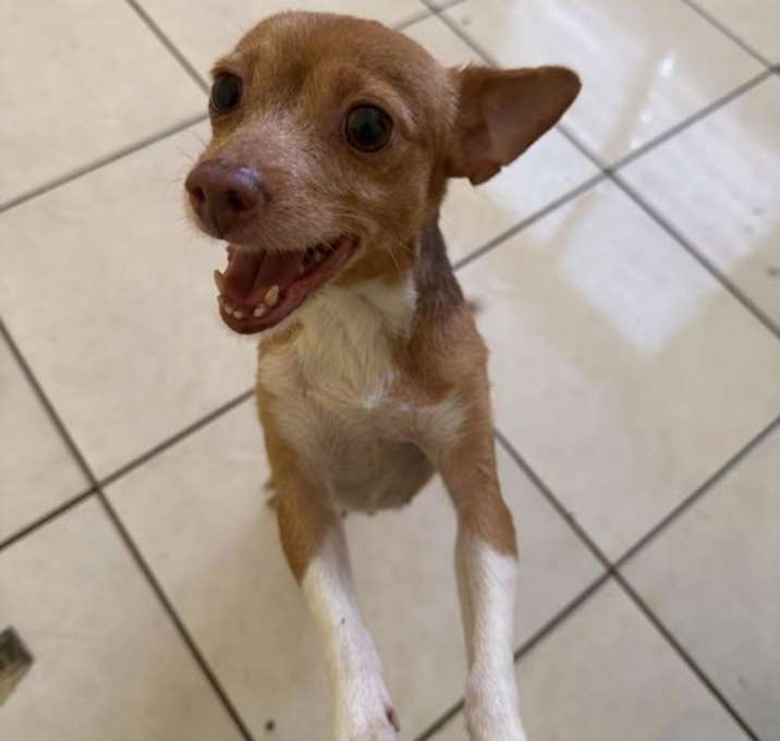 Photo of DeeDee