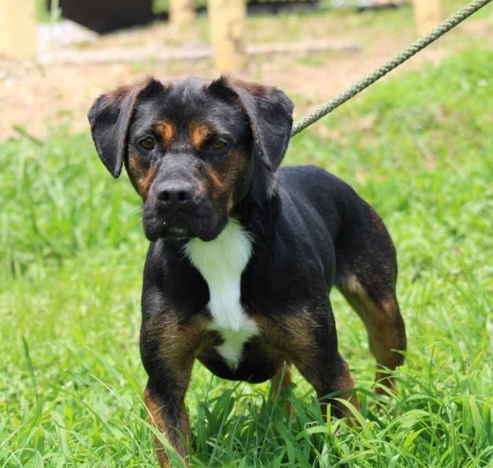 Photo of Baby Girl - Adoptable