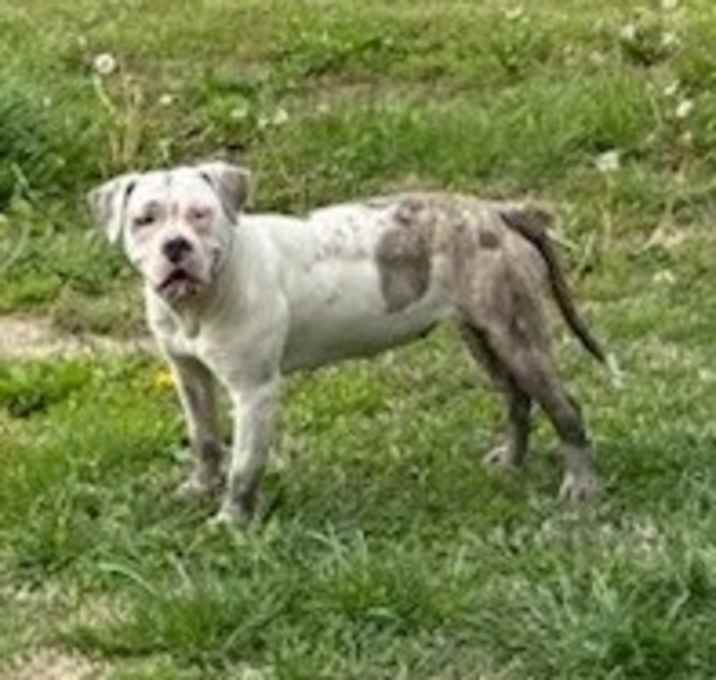 Photo of Rosa