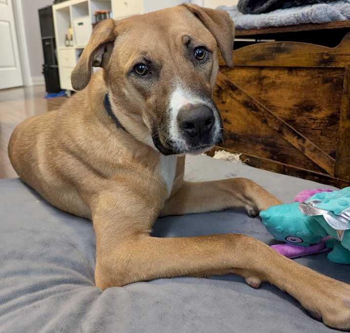 Photo of Jelly