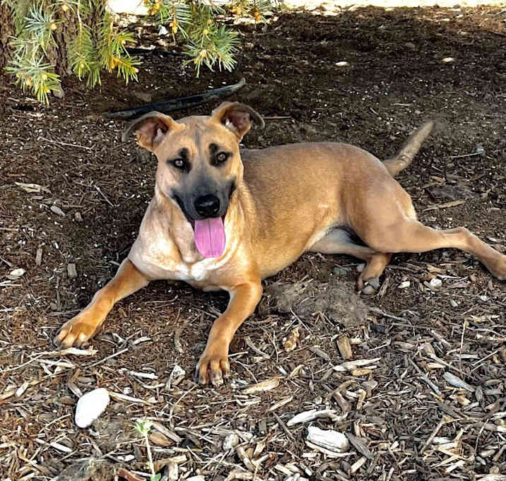 Photo of Athena