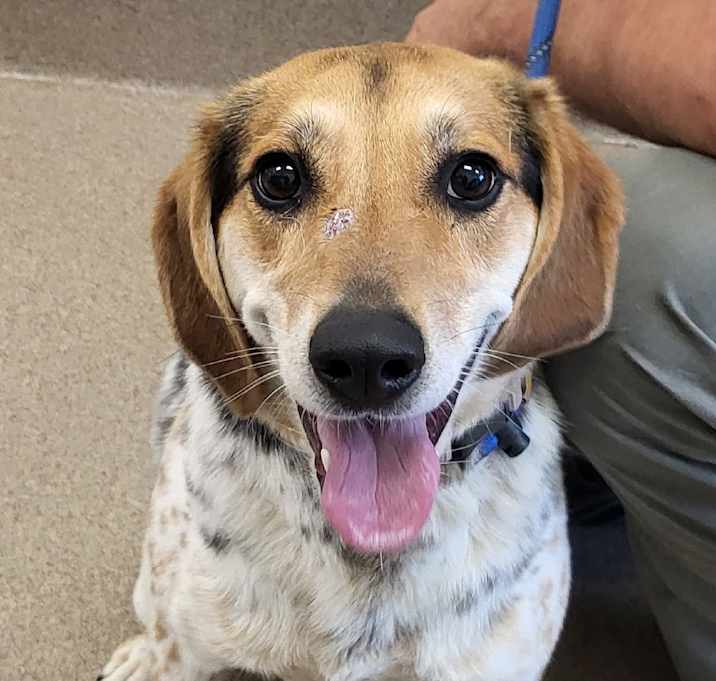 Photo of Spotty Minnie
