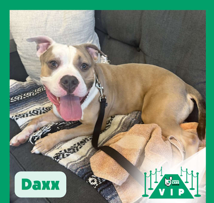 Photo of Daxx