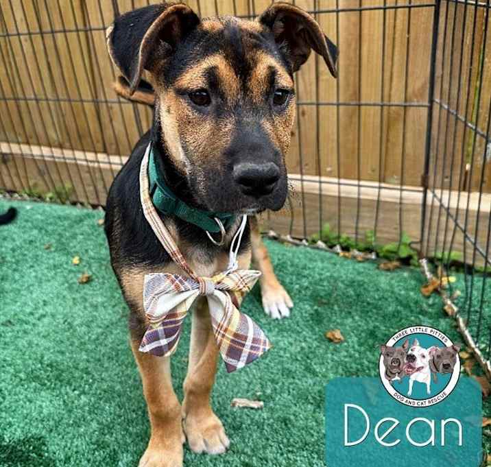 Photo of Dean