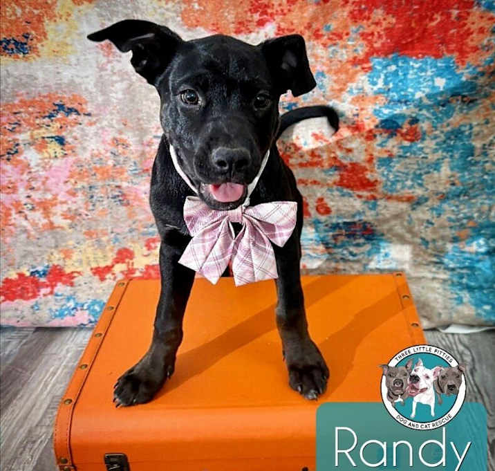 Photo of Randy