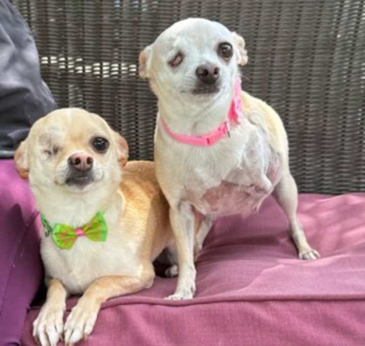Photo of Sissy and Chloe