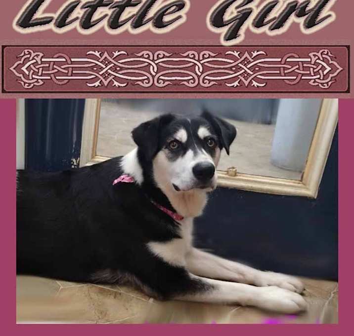 Photo of Little Girl