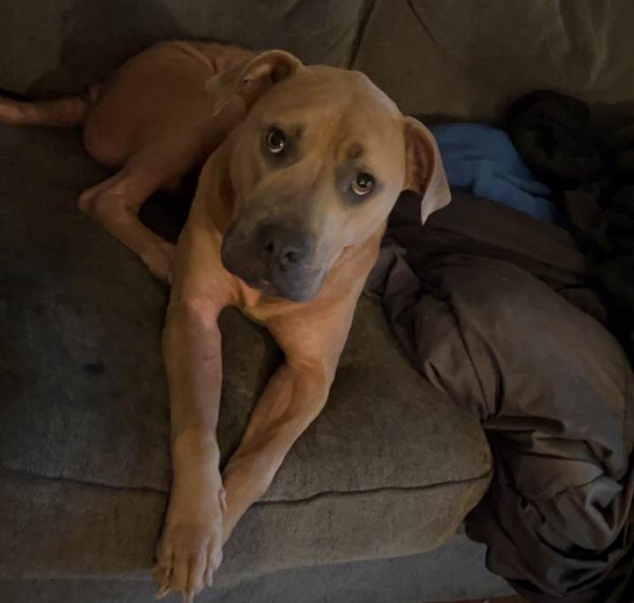 Photo of Sasha