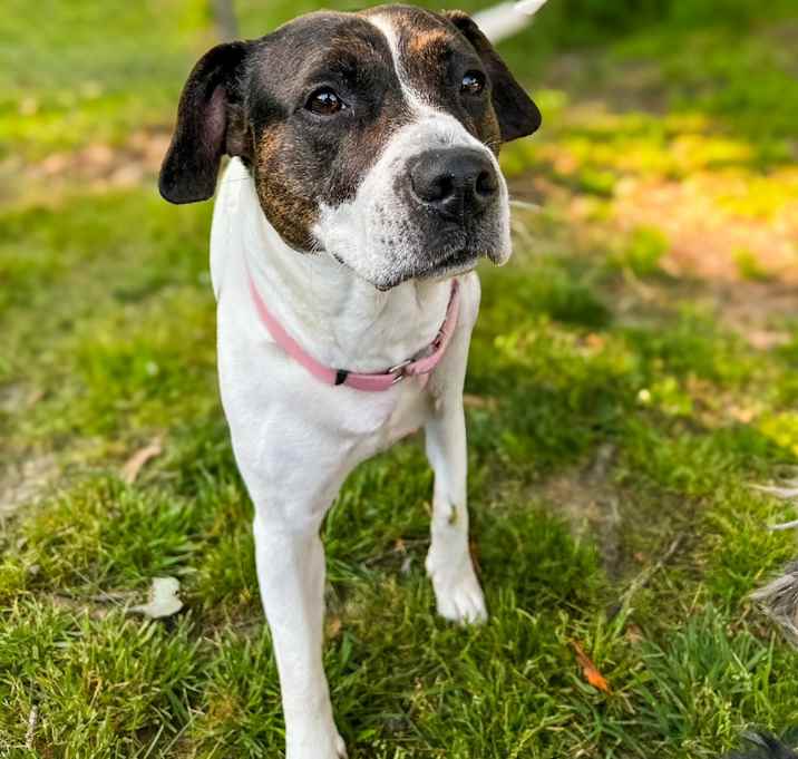 Photo of Super Nova