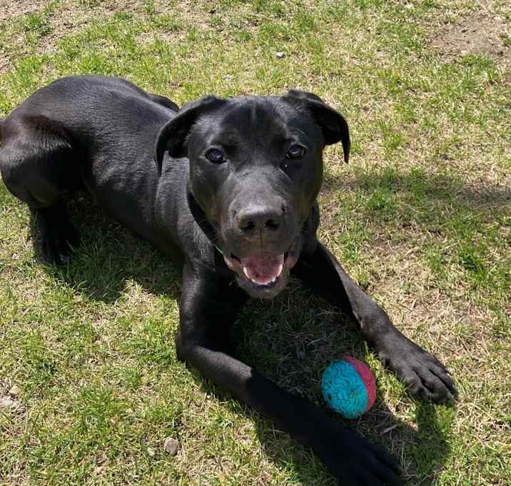 Photo of Apollo