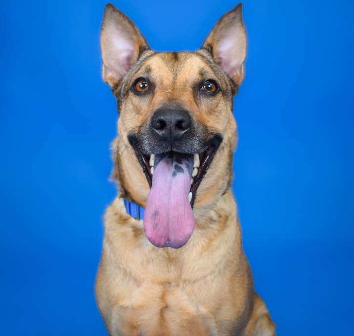 Photo of Monty
