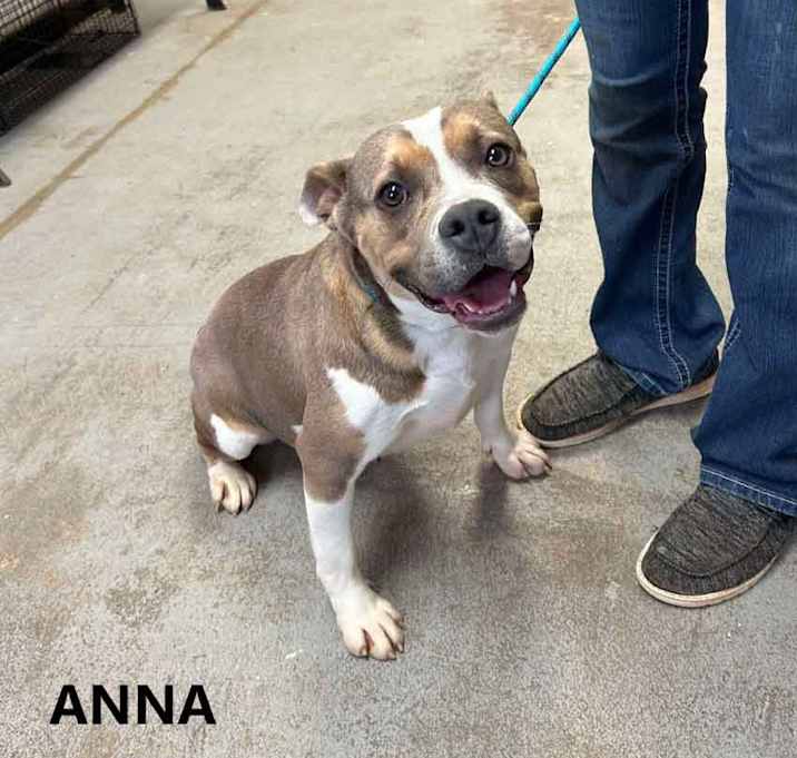Photo of Anna