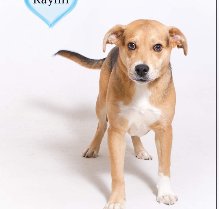 Photo of Raylin