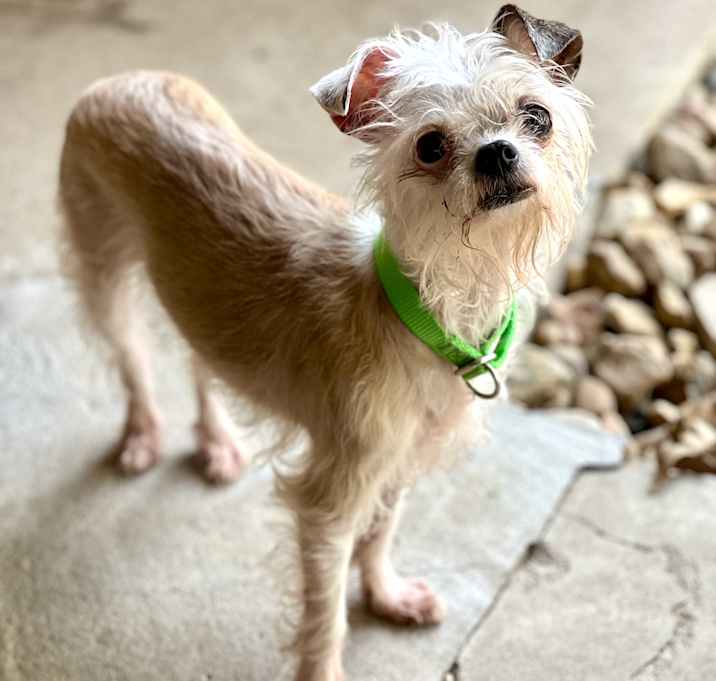 Photo of Mandy