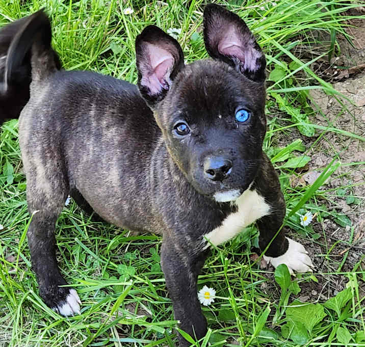 Photo of Luke Jr. AKA LJ