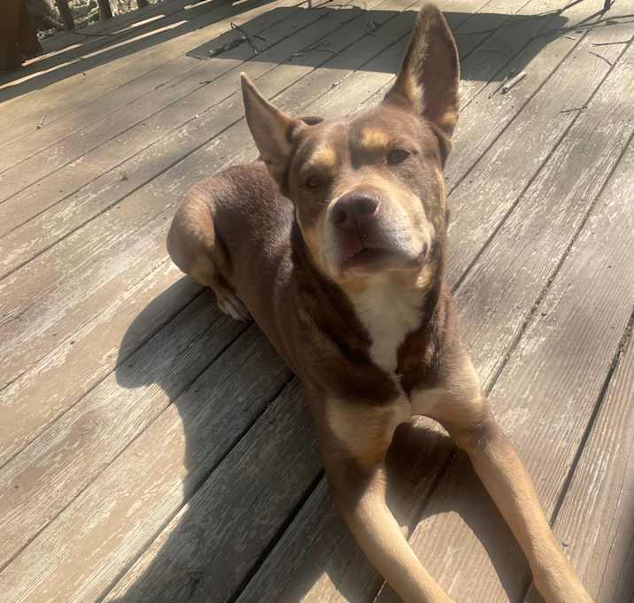 Photo of Kima