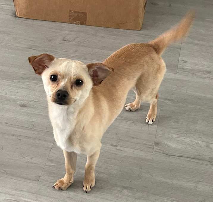 Photo of Paco