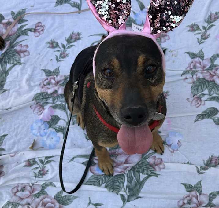 Photo of Laverne