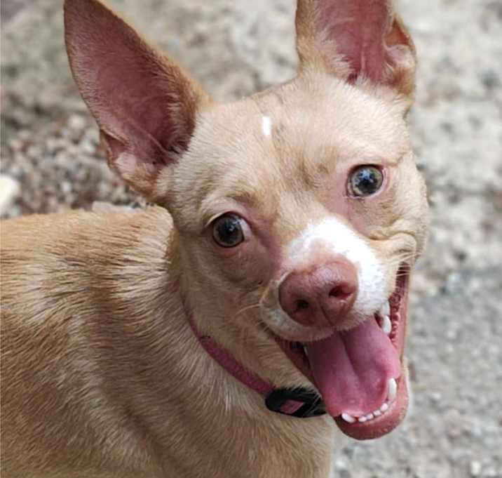 Photo of Remi