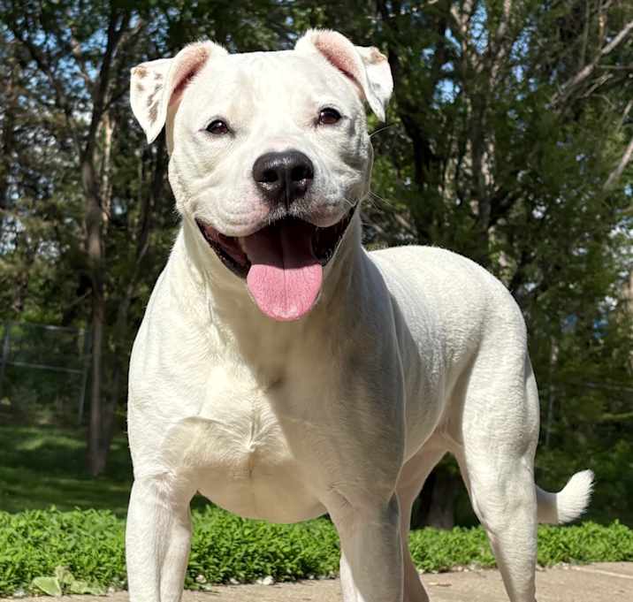 Photo of Mowglie