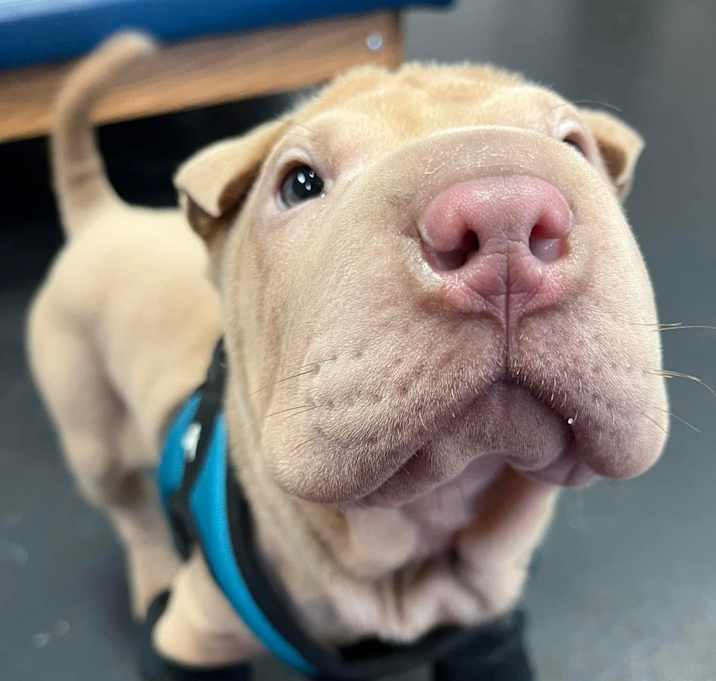 Photo of Walter-New Photo!