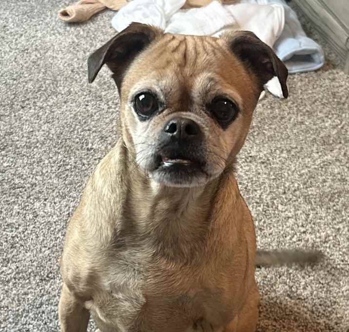 Photo of Riley