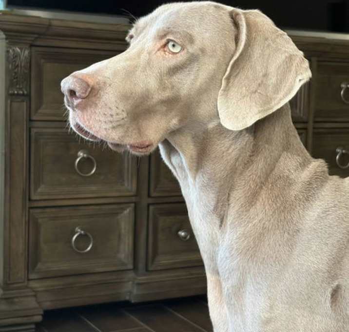 Photo of Ernie