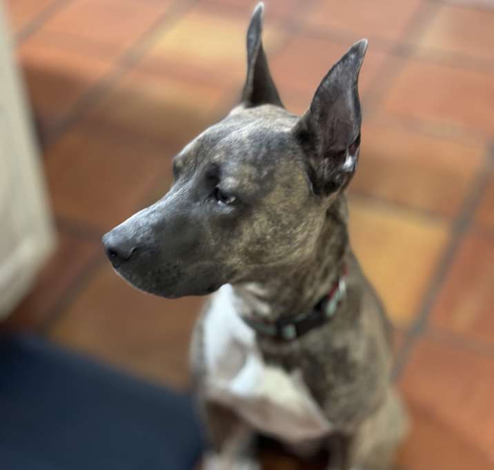 Photo of Clyde