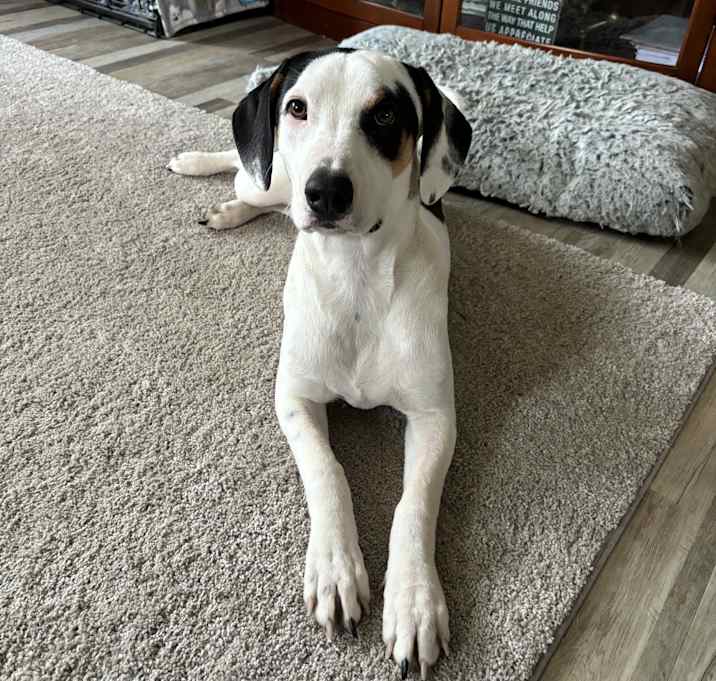 Photo of Kobe