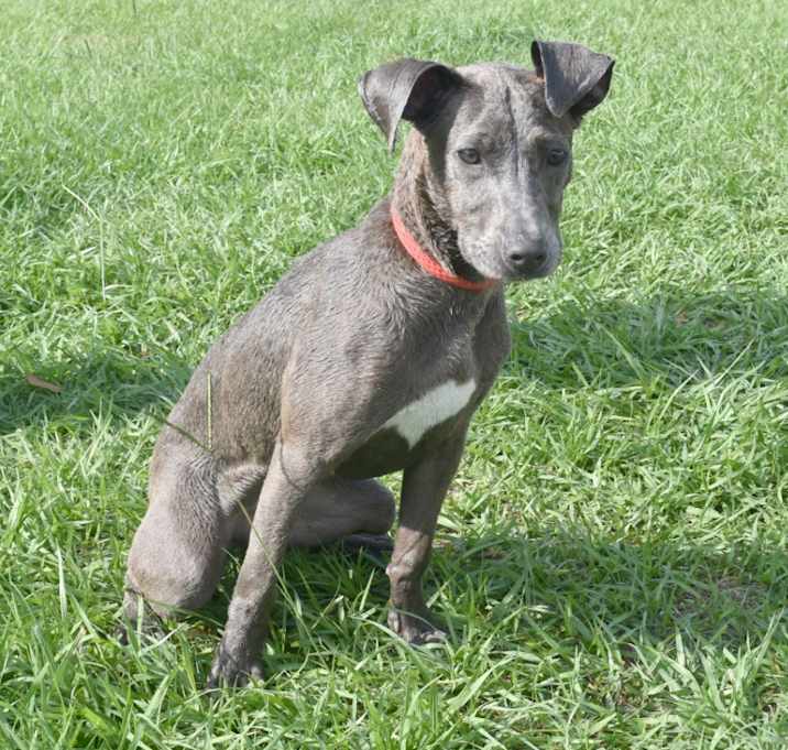 Photo of Zara