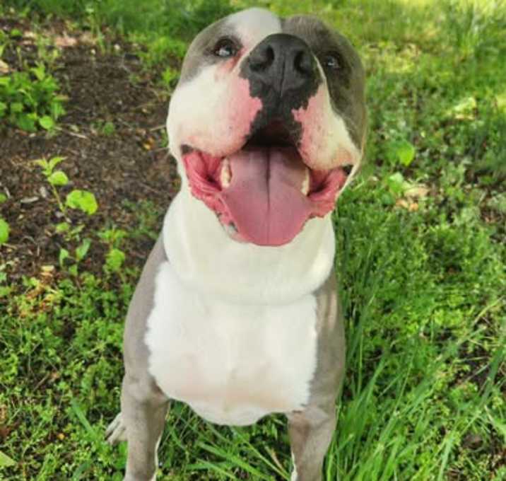 Photo of Smitty