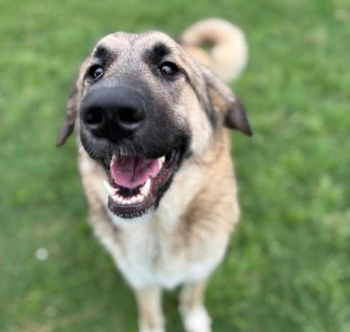 Photo of Jolene
