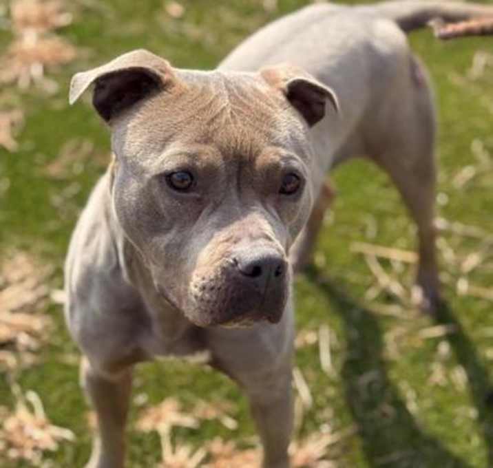 Photo of Clementine
