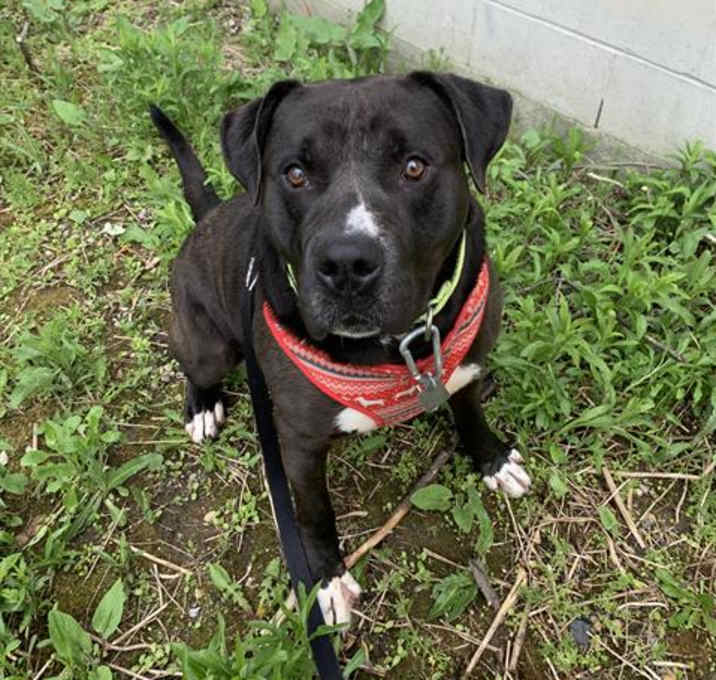 Photo of ROGUE