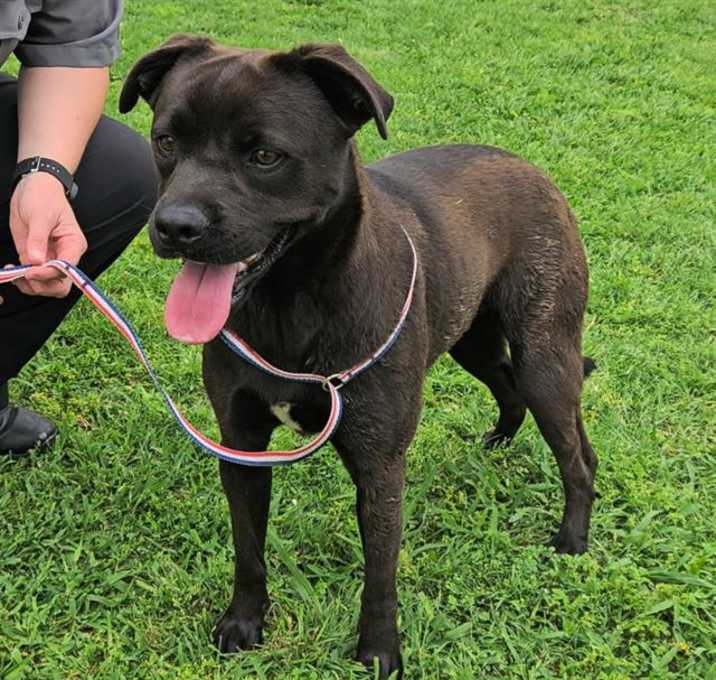 Photo of DIXIE