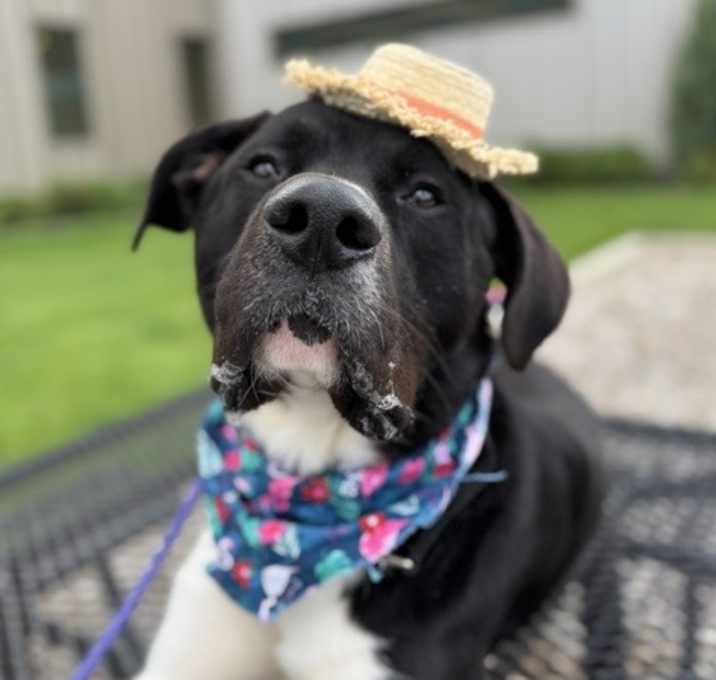 Photo of Broseph