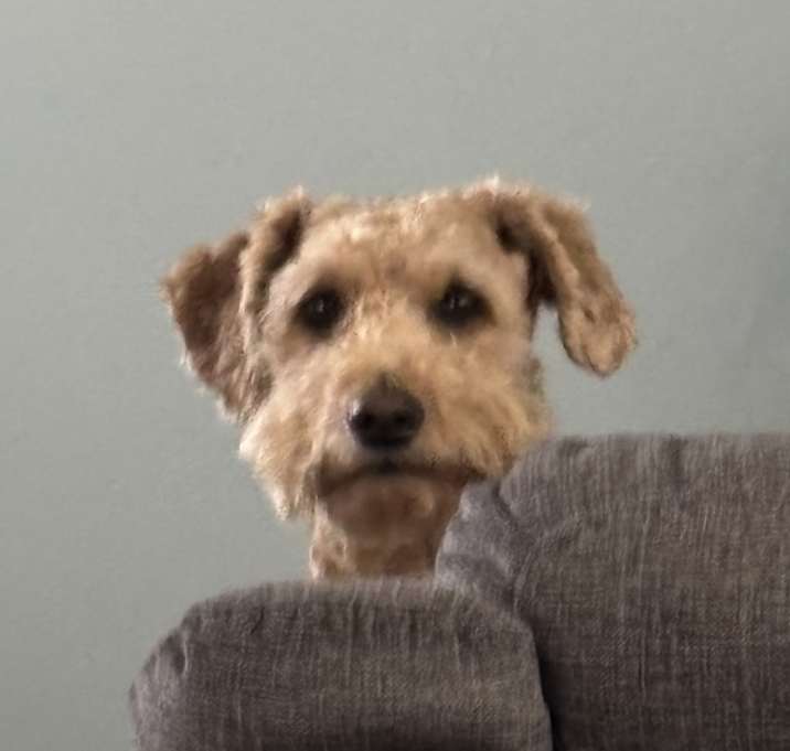 Photo of Ellie